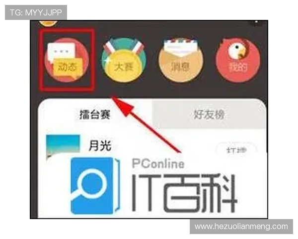 如何快速找到壹号平台注册入口网址及详细查询步骤介绍